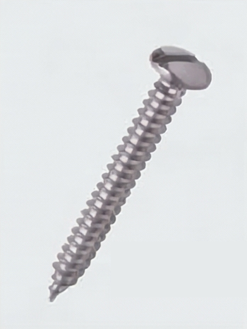 Pan Slotted Screw